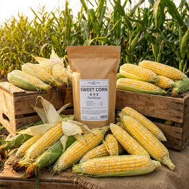 Organic Sweet Corn Fertilizer, Fertilizers